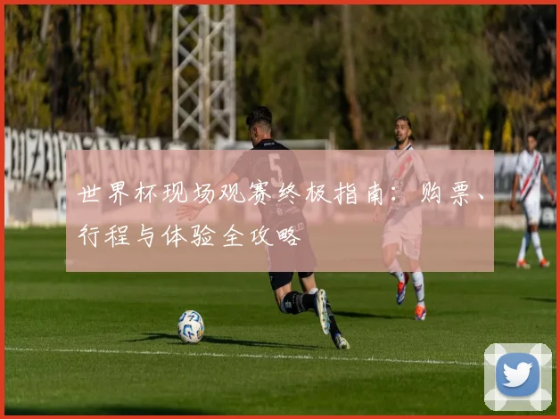 世界杯现场观赛终极指南：购票、行程与体验全攻略