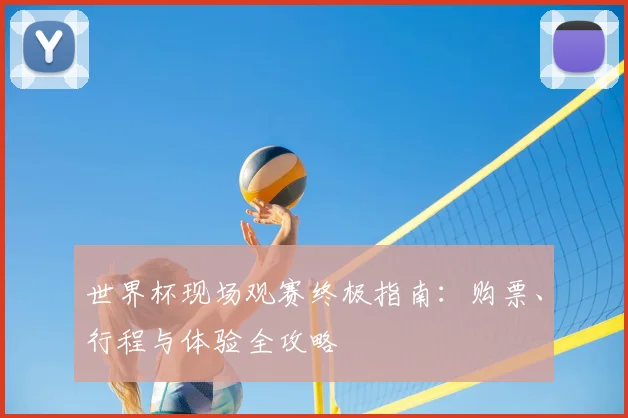 世界杯现场观赛终极指南：购票、行程与体验全攻略